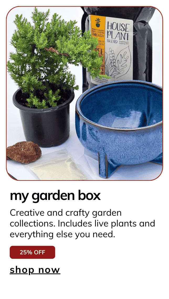 My Garden Box