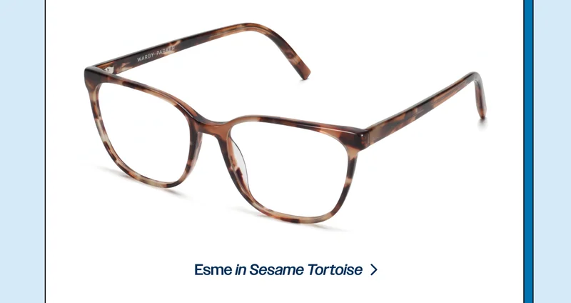 Esme in Sesame Tortoise