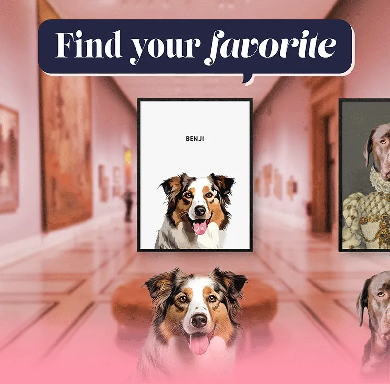 find your favorite