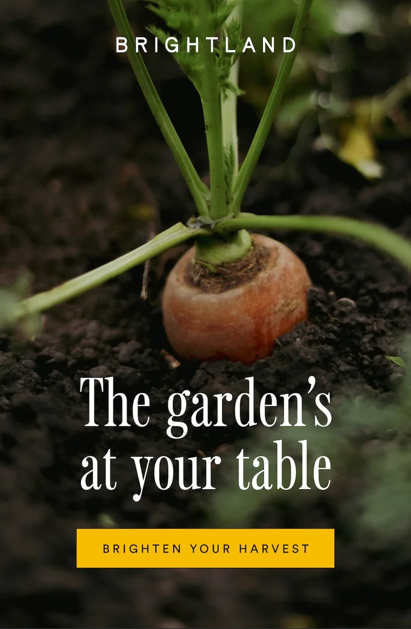 The garden's at your table. Brighten your harvest.