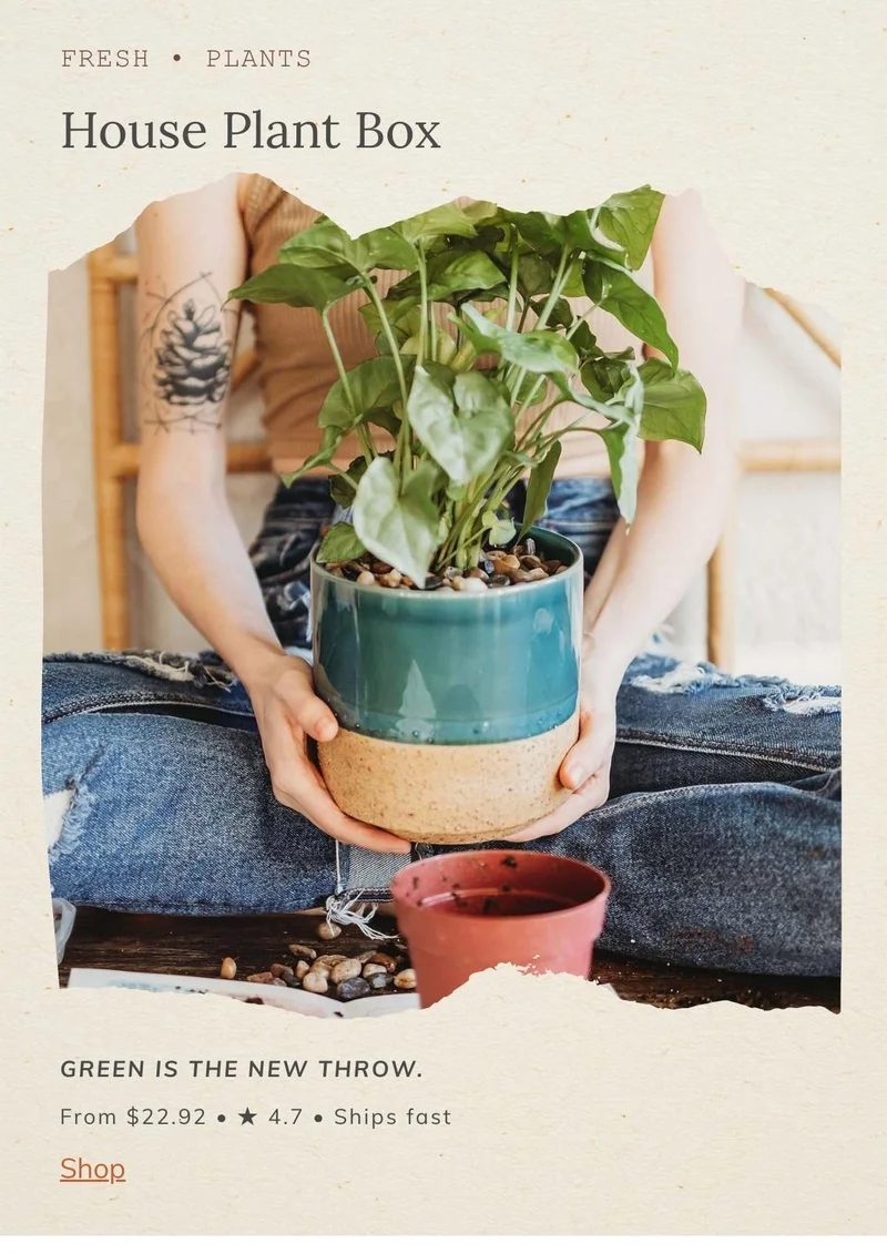 House Plant Box