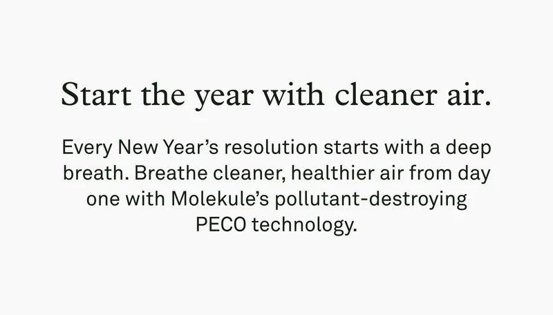 Start the year with cleaner air