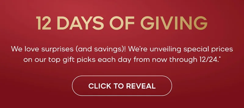 12 DAYS OF GIVING