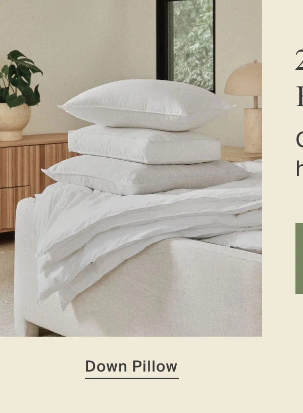 Save on Down Pillow