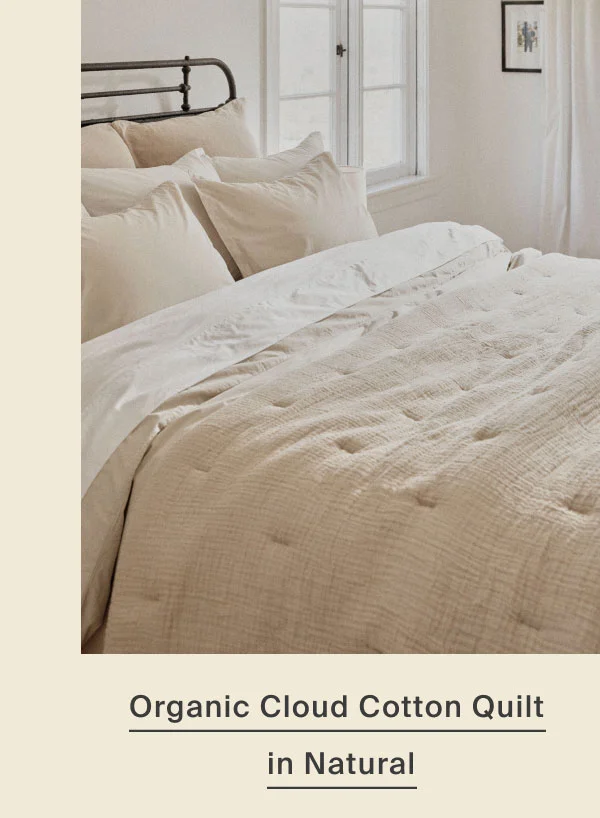 Save on Organic Cloud Cotton Quilt