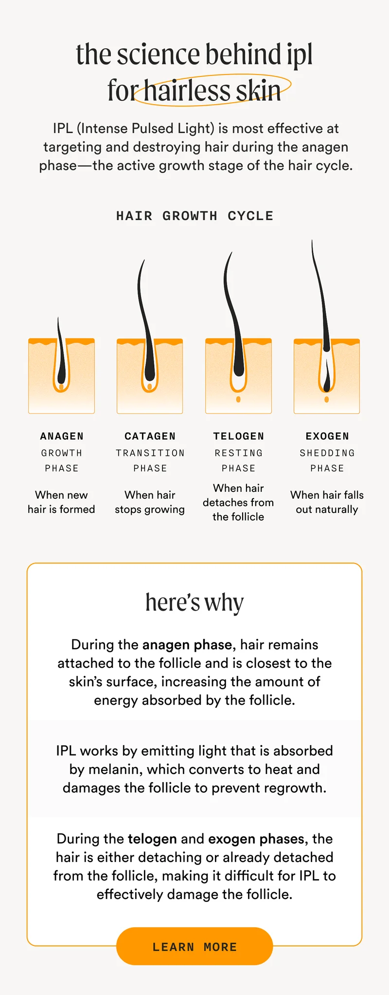 The Science Behind IPL For Hairless Skin - IPL (Intense Pulsed Light) is most effective at targeting and destroying hair during the anagen phase—the active growth stage of the hair cycle. - Hair Growth Cycle - Here's Why - During the anagen phase, hair remains attached to the follicle and is closest to the skin’s surface, increasing the amount of energy absorbed by the follicle. IPL works by emitting light that is absorbed by melanin, which converts to heat and damages the follicle to prevent regrowth. During the telogen and exogen phases, the hair is either detaching or already detached from the follicle, making it difficult for IPL to effectively damage the follicle. - LEARN MORE