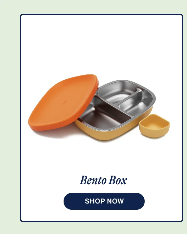 Bento Box. Shop Now
