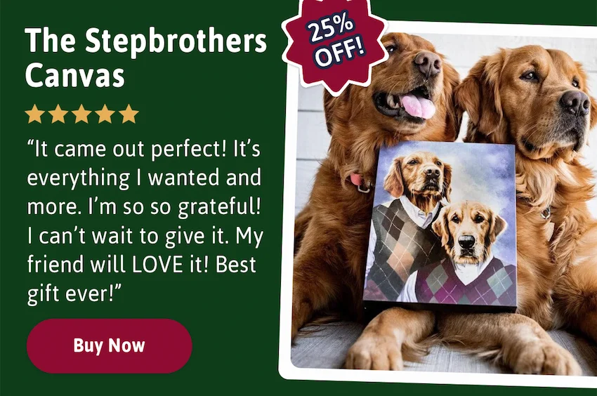 The Stepbrothers Custom Canvas - 25% Off. Buy Now.