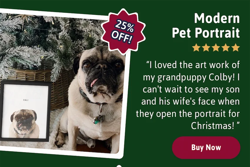 Modern Pet Portrait - 25% Off. Buy Now.