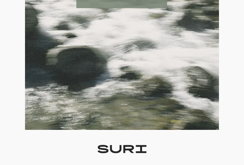 Try SURI