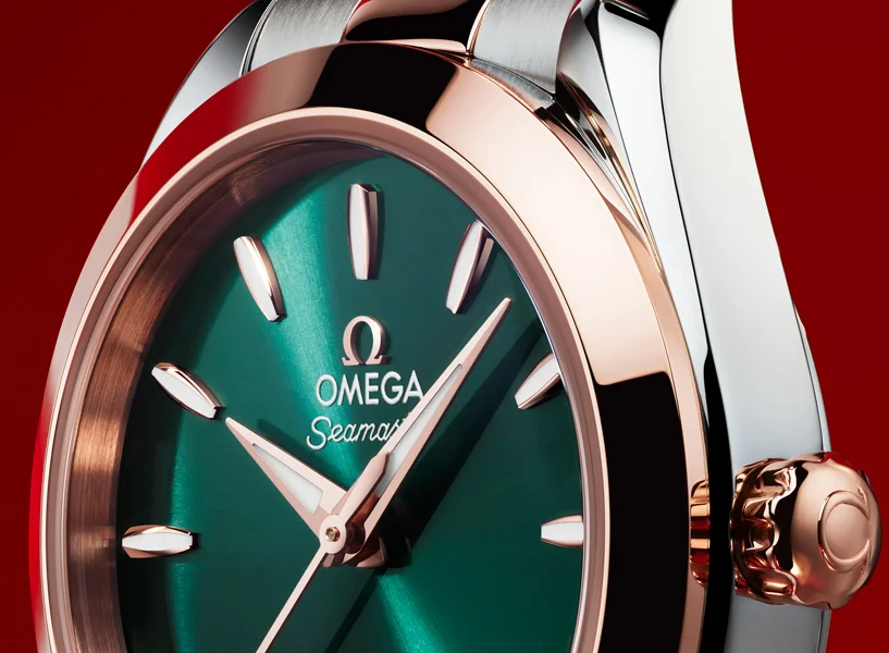 Seamaster Aqua Terra - 220.20.30.20.10.002