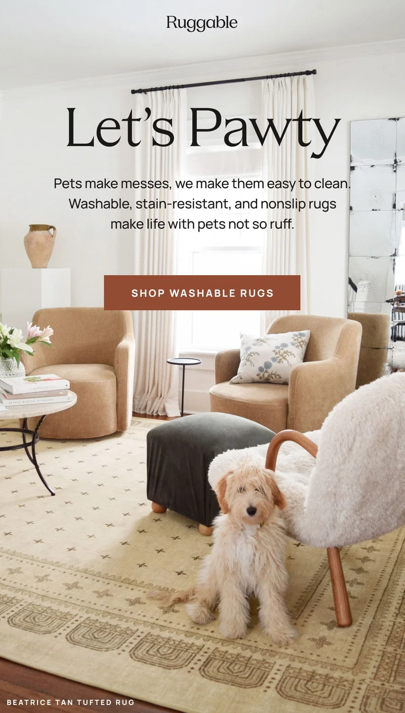 Shop Washable Rugs