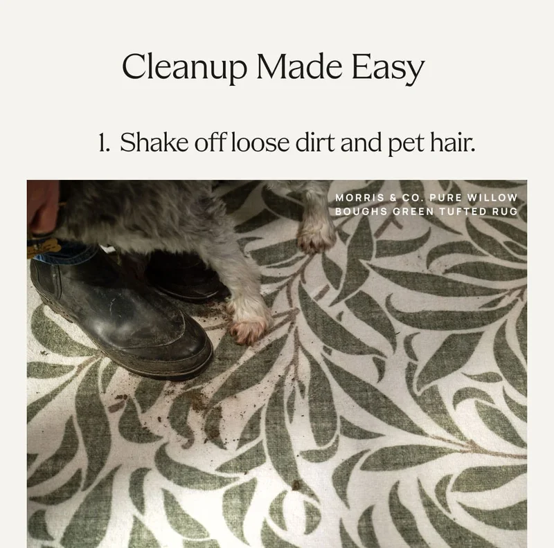 Shake off loose dirt and pet hair