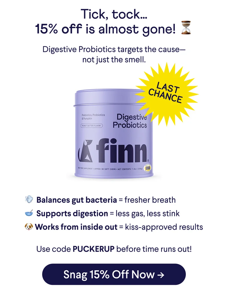 Tick, tock… 15% off is almost gone!⏳ Digestive Probiotics targets the cause of bad breath— not just the smell. 💨 Balances gut bacteria = fresher breath 🥣  Supports digestion = less gas, less stink 🐶 Works from inside out = kiss-approved results Use code discount code before time runs out! Snag 15% Off Now ->