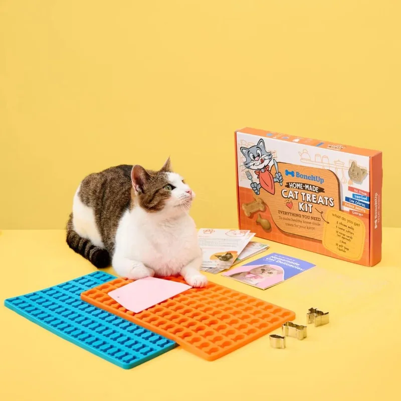 Image of BoneItUp® Homemade Cat Treats Kit