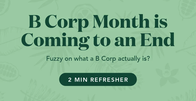 B-corp month is coming to an end. Fuzzy on what a B-corp actually is? Here's a 2 minute refresher