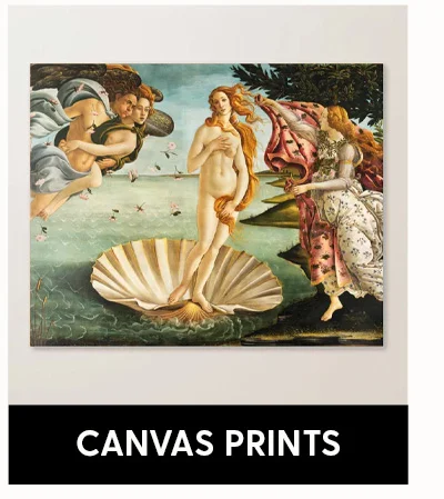 Shop Framed Canvas Prints