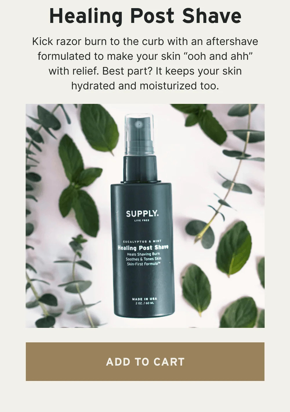 Healing Post Shave Kick razor burn to the curb with an aftershave formulated to make your skin “ooh and ahh” with relief. Best part? It keeps your skin hydrated and moisturized too. [ ADD TO CART ]