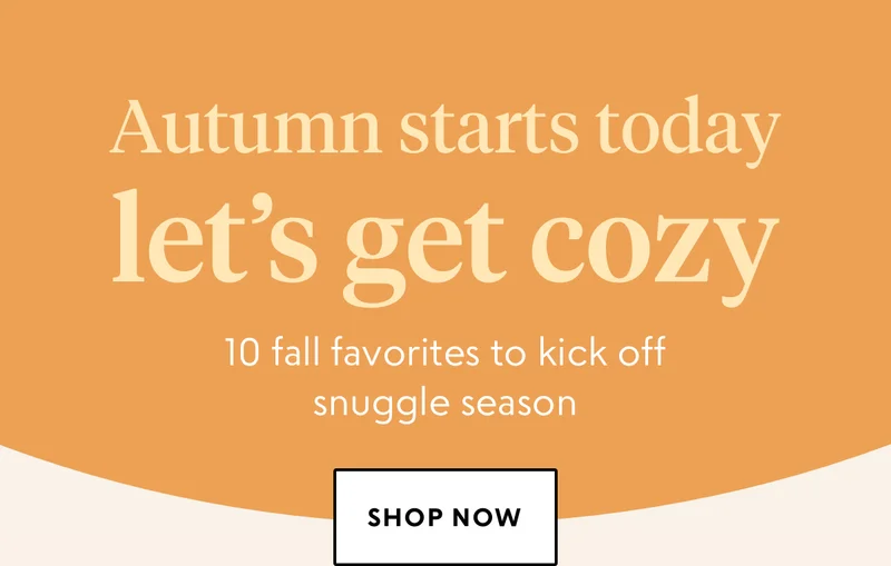 shop now