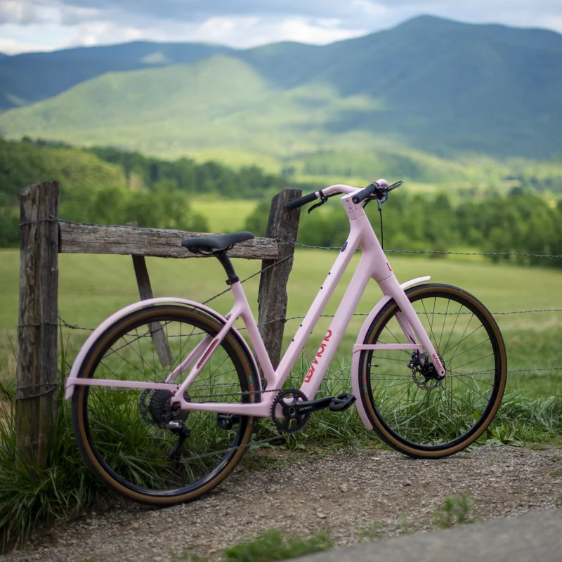 Rosa Dutch in Cade's Cove