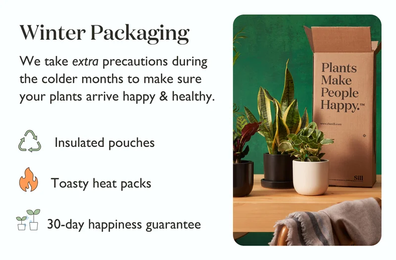 We take extra precautions during the colder months to make sure your plants arrive happy and healthy! Including insulated pouches and toasty heat packs.