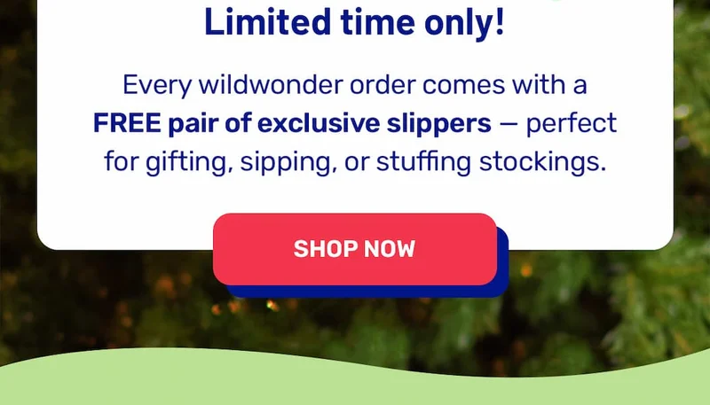 Get your slippers