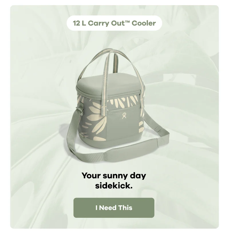 12 L Carry Out™ Cooler. Your sunny day sidekick. | I Need This