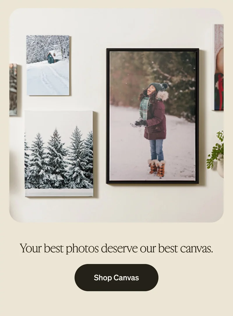 Last Day: 20 Freebies, Choose 5, 50% Off Almost Everything, Buy2, Get 1 Free Wall Calendars, Free Shipping on Cards