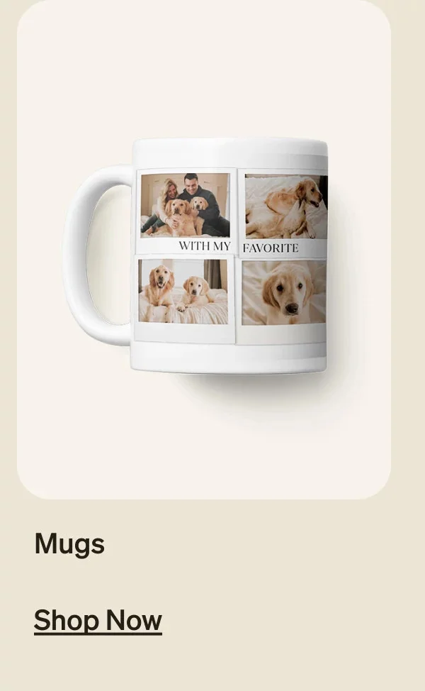 Last Day: 20 Freebies, Choose 5, 50% Off Almost Everything, Buy2, Get 1 Free Wall Calendars, Free Shipping on Cards