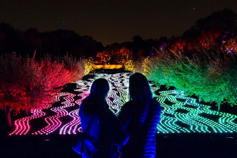 The silhouette of two people observing Lightscape at Brooklyn Botanic Garden