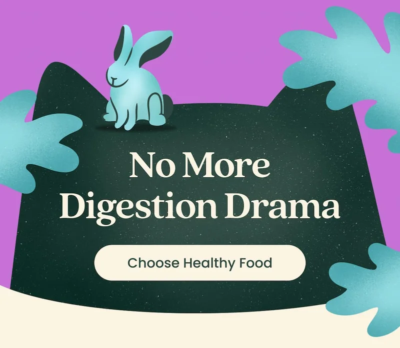 No More Digestion Drama - Choose Healthy Food