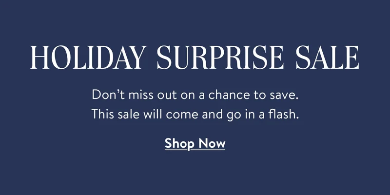 Holiday Surprise Sale