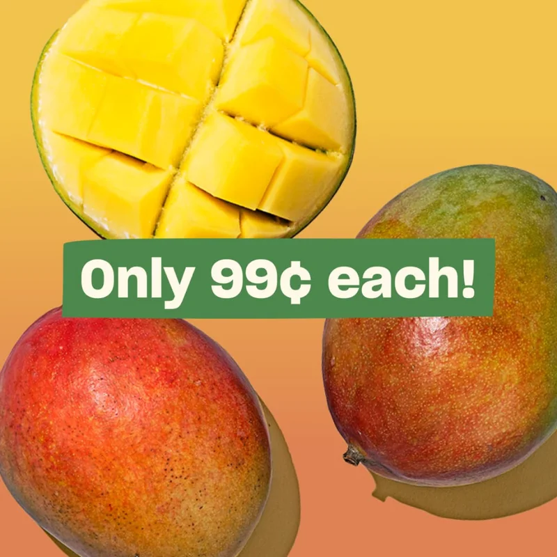 Mangoes are 99 cents each!