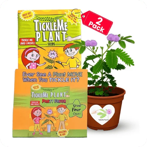 Tickle Me Plant Tickle Me Plant