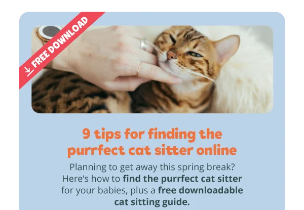 Free download! 9 tips for finding the purrfect cat sitter online. Planning to get away this spring break? Here’s how to find the purrfect cat sitter for your babies, plus a free downloadable cat sitting guide.