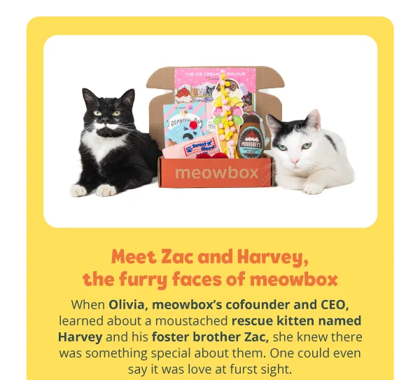 Meet Zac and Harvey, the furry faces of meowbox. When Olivia, meowbox’s cofounder and CEO, learned about a moustached rescue kitten named Harvey and his foster brother Zac, she knew there was something special about them. One could even say it was love at furst sight.