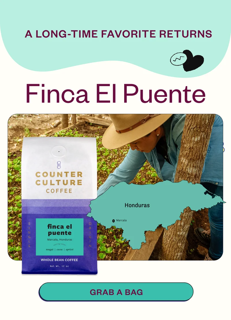 New coffee from Honduras! Finca El Puente Grab a bag