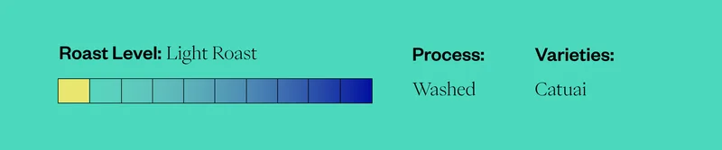 Roast Level: Light Roast Process: Washed Varieties: Catuai