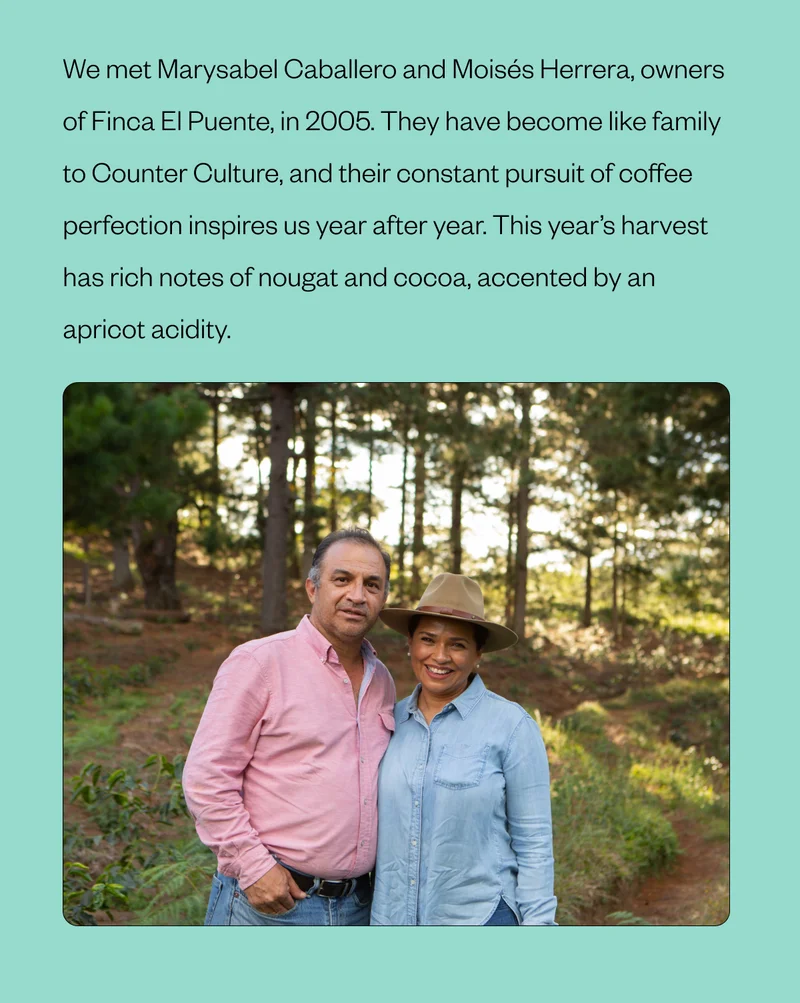 We met Marysabel Caballero and Moises Herrera, owners of Finca El Puente in 2005. They have become like family to Counter Culture, and their constant pursuit of coffee perfection inspires us year after year. This year's harvest has rich notes of nougat and cocoa, accented by an apricot acidity.