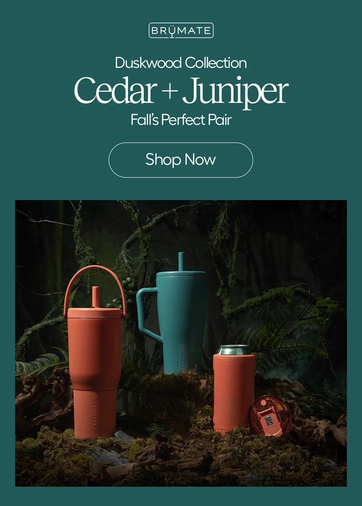 Duskwood Collection: Cedar + Juniper, Fall's Perfect Pair - Shop Now