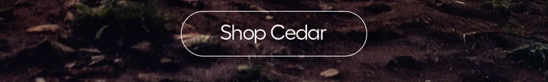 Shop Cedar
