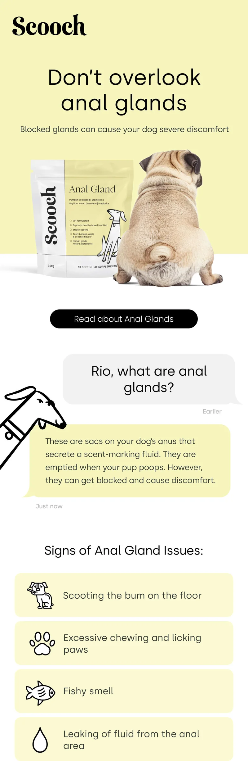 Signs of Anal glands issues