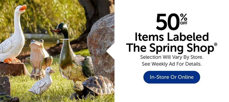 The Spring Shop