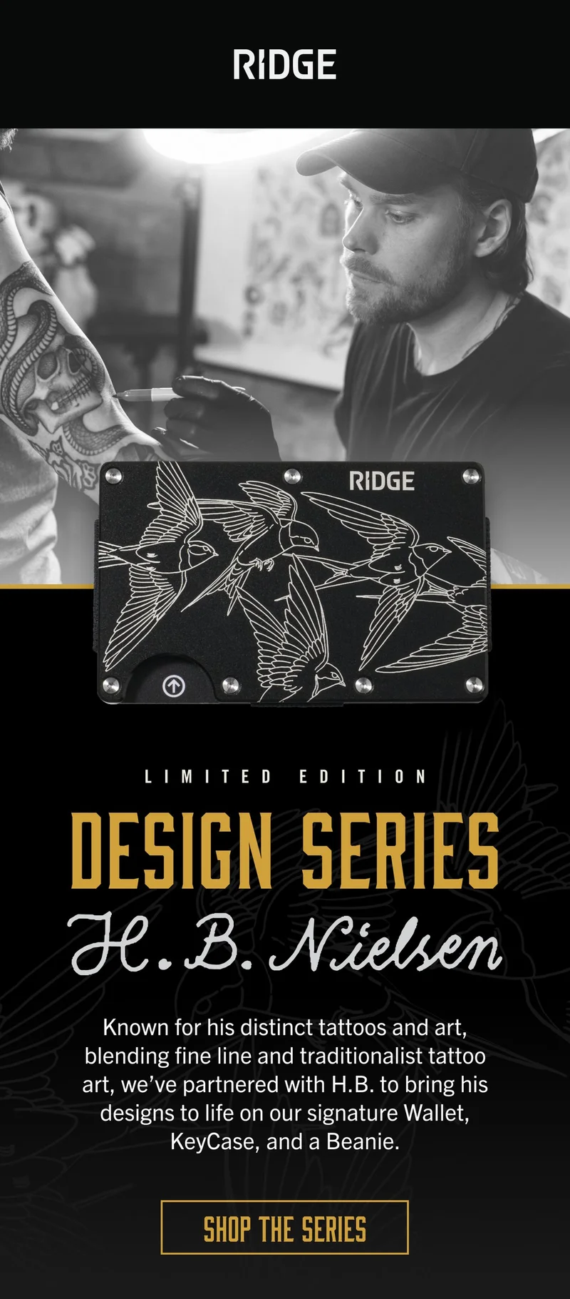 Shop the Series