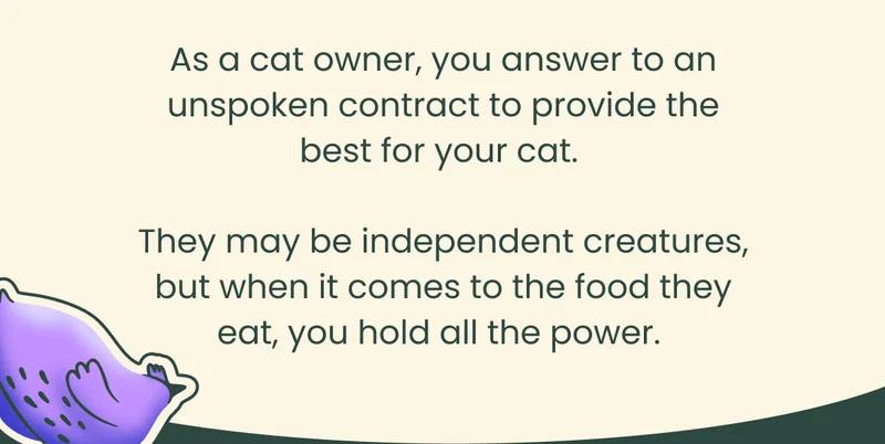 As a cat owner, you can answer to an unspoken contract to provide the best for your cat. They may be independent creatures, but when it comes to the food they eat, you hold all the power.