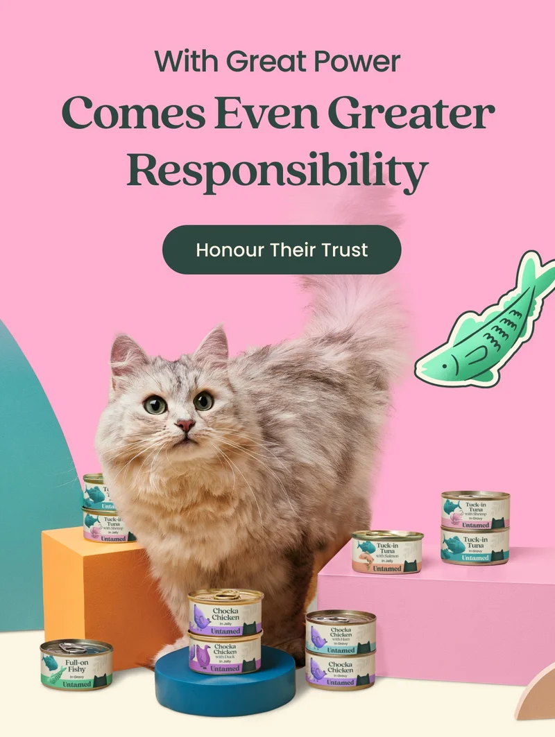 With Great Power Comes Even Greater Responsibility. Honour Their Trust