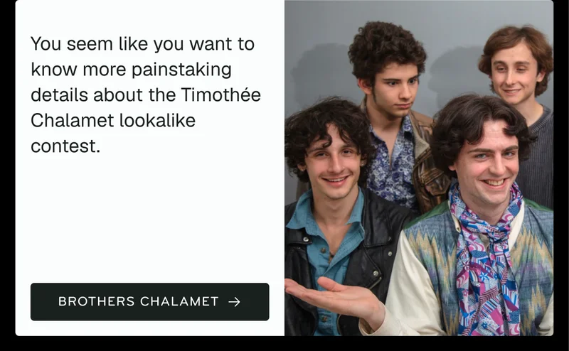 Timothee Chalamet Lookalikes