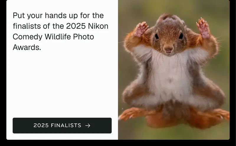 2025 Comedy Wildlife Awards