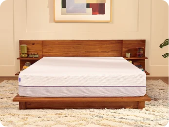 The original GelFlex Grid® mattresses<br />