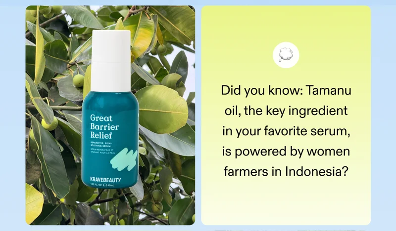 💭 Did you know: Tamanu oil, the key ingredient in your favorite serum, is powered by women farmers in Indonesia?
